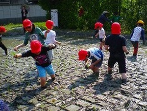 Imgp3546_2