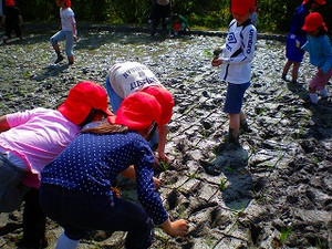 Imgp3547_4