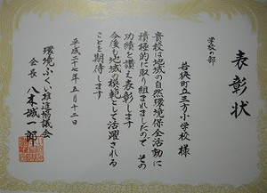 Imgp6501