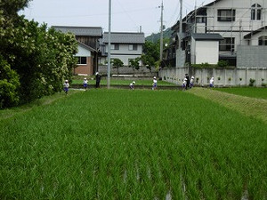 P1000682