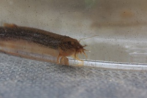 Img_7524