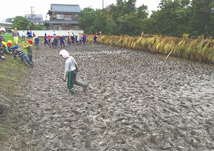 Photo_8