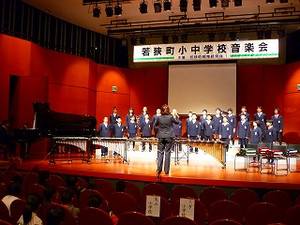 P1060555 P1060555