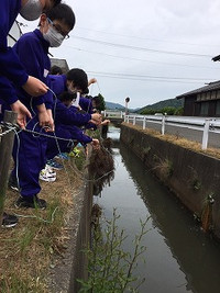 Image0_6