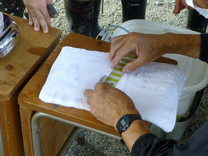 P1100003
