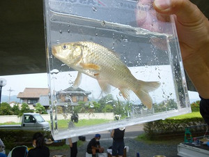 P1100015