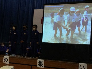 Img_5014 Img_5014
